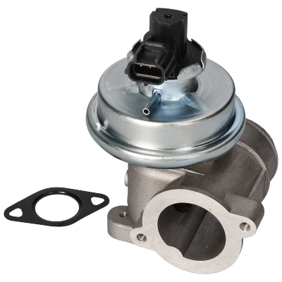 Vanne EGR BIRTH 90033