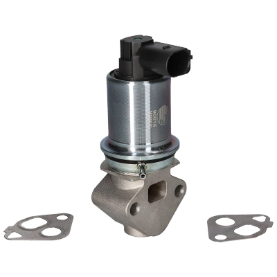 Vanne EGR BIRTH 90015