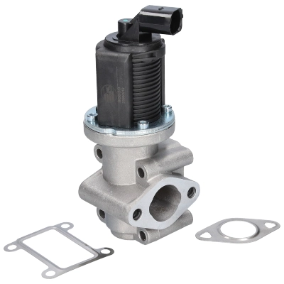 Vanne EGR BIRTH 90039