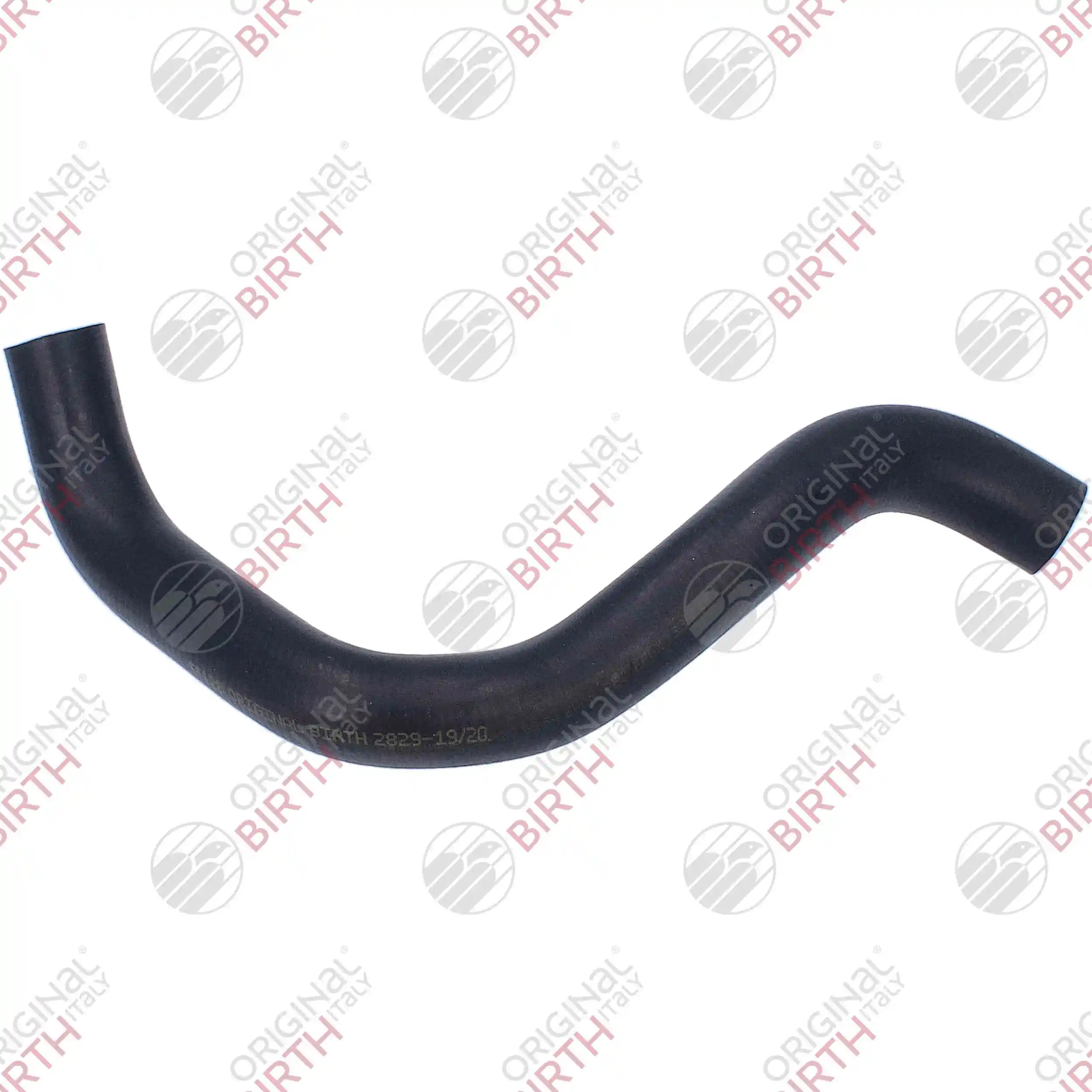 Radiator Hose