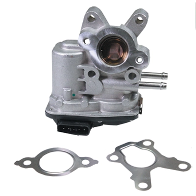 Vanne EGR BIRTH 90024