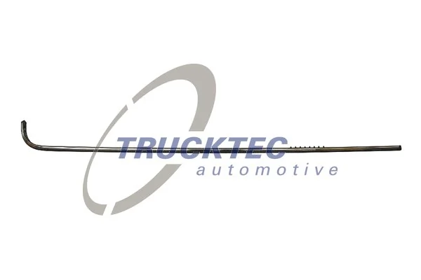 Trim/Protection Strip, quarter panel