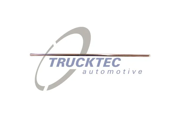 Trim/Protection Strip, radiator grille