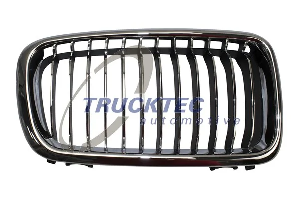 Radiator Grille