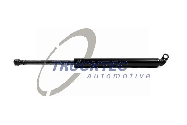 Gas Spring, boot/cargo area