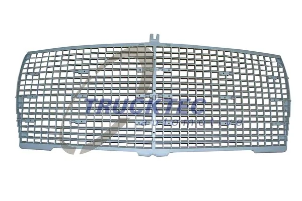 Radiator Grille