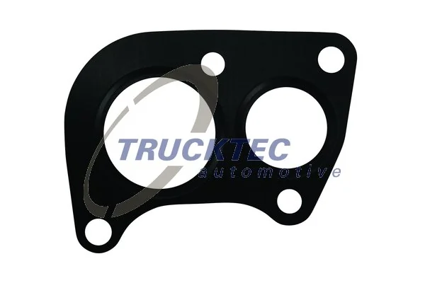 Gasket, EGR valve