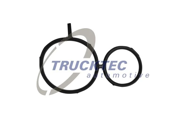 Gasket, timing case