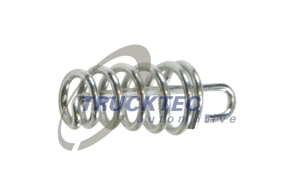 Spring, brake shoes