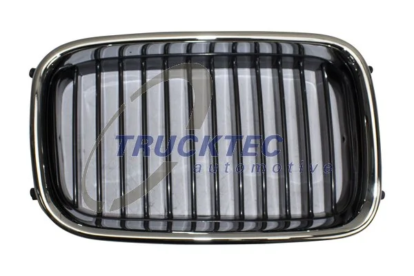 Radiator Grille