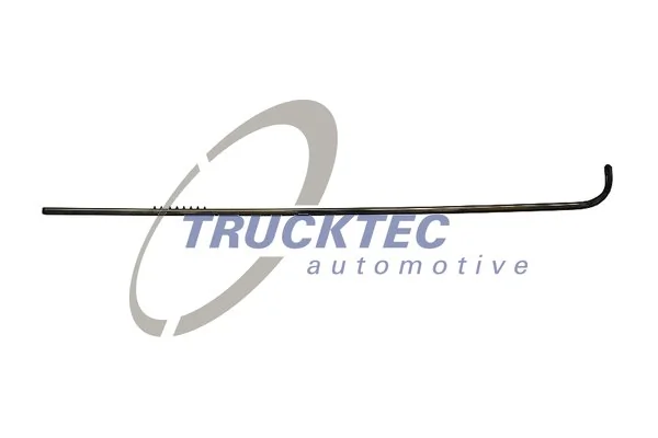 Trim/Protection Strip, quarter panel