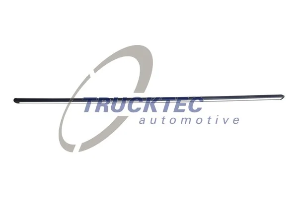 Trim/Protection Strip, wing