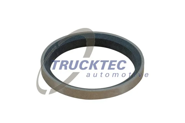 Inlet valve seat insert