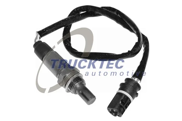 Oxygen Sensor