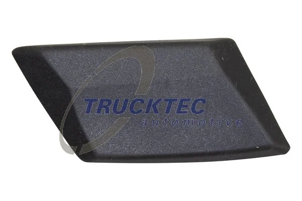 Trim/Protection Strip, quarter panel