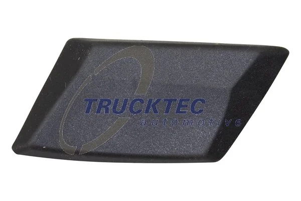 Trim/Protection Strip, quarter panel