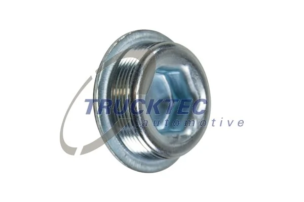 Screw Plug, crankcase