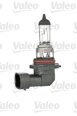 Bulb, front fog light