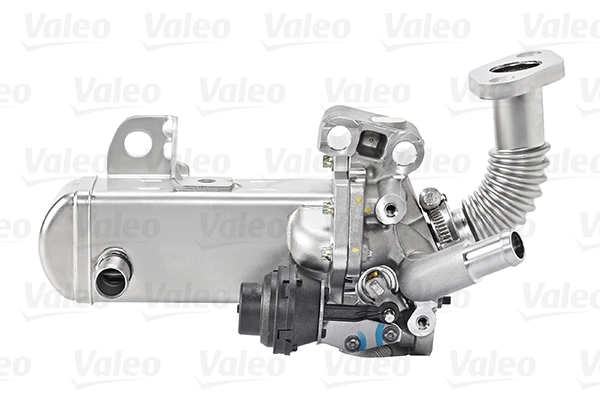 EGR Module