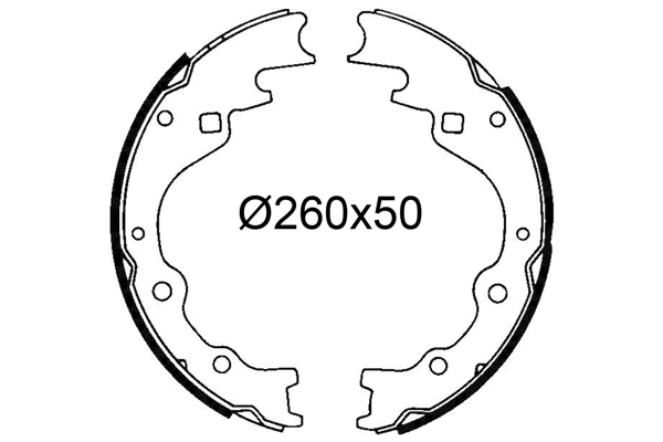 Brake Shoe Set