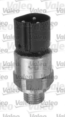 Temperature Switch, radiator fan