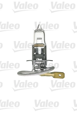 Bulb, front fog light