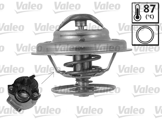 Thermostat, coolant