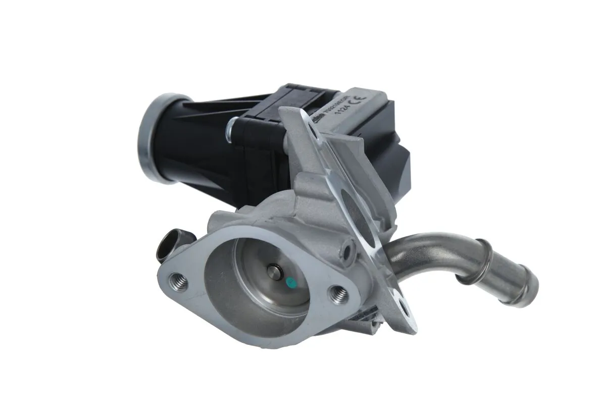 Vanne EGR VALEO 703219