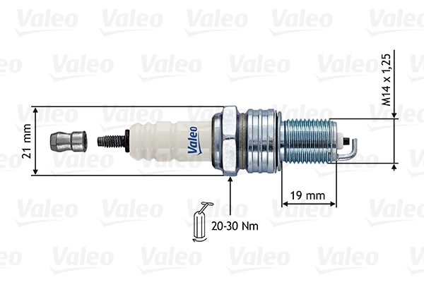Spark Plug