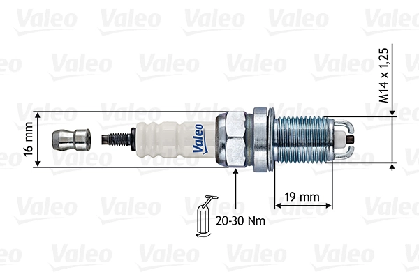Spark Plug