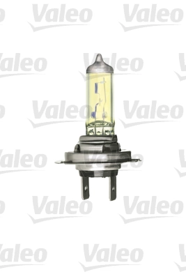 Bulb, spotlight