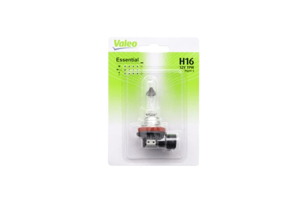Bulb, front fog light