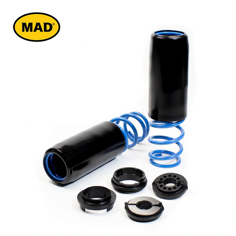 Suspension Set, springs