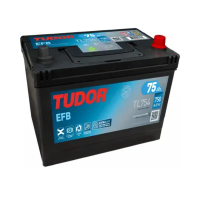 Starter Battery