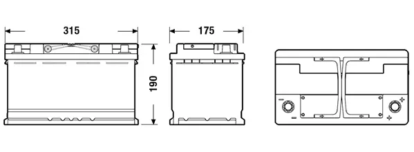 Starter Battery