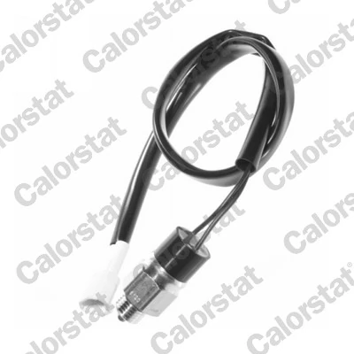 Contacteur, feu de recul CALORSTAT by Vernet RS5556