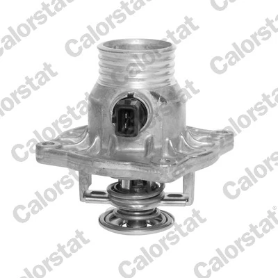 Thermostat d'eau