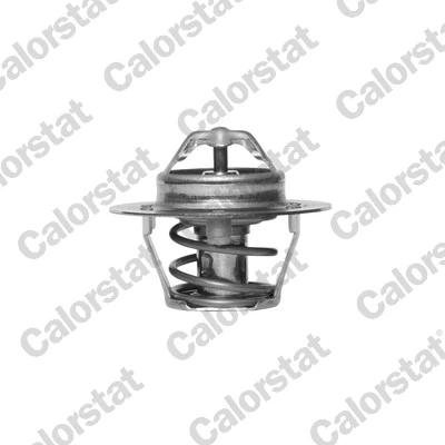CALORSTAT BY VERNET TH5977.88J — Термостат