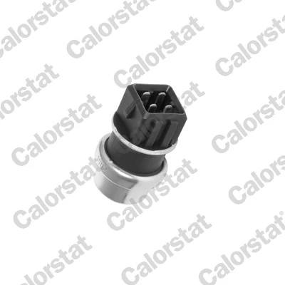 CALORSTAT BY VERNET WS2625 — Датчик температури охолоджувальної рідини
