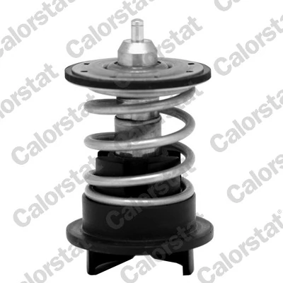 Thermostat d'eau