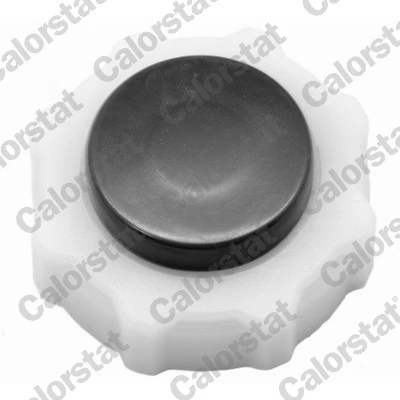 BOUCHON VASE EAU RADIATEUR RENAULT-DACIA-NISSAN