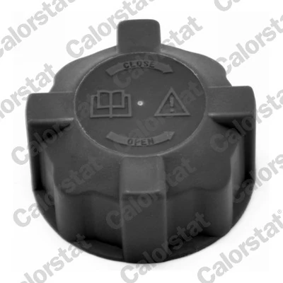 bouchon vase eau fiat doblo/palio/punto