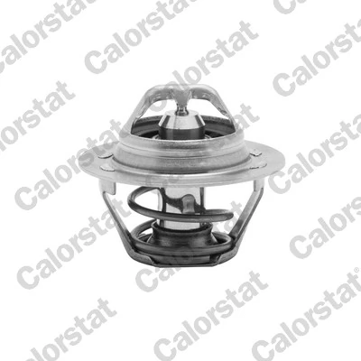 thermostat renaut 89degre