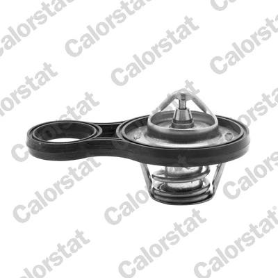 CALORSTAT BY VERNET TH6843.91J — Термостат