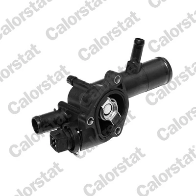 Thermostat d'eau Nissan Dacia Renault Suzuki