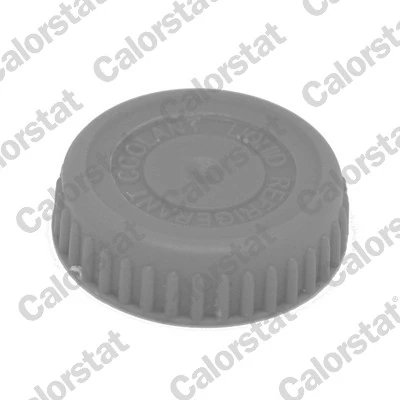 Cap, coolant tank