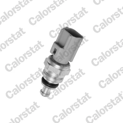 CALORSTAT BY VERNET WS3038 — Датчик температури охолоджувальної рідини