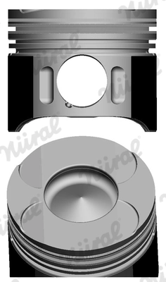 Piston NÜRAL 87-117900-20