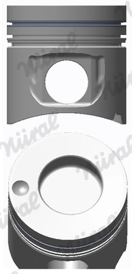 Piston NÜRAL 87-179300-15