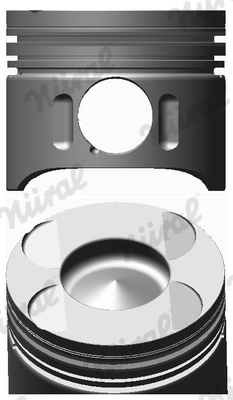 Piston NÜRAL 87-117900-00